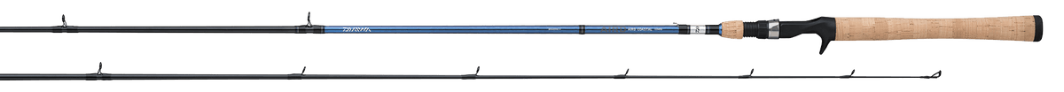 Daiwa AIRD Coastal inshore spinning rod